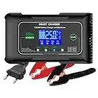 Haisito Chargeur Batterie Voiture 12V/24V 25A, Chargeur Batterie Auto et Moto Rapide Intelligent, Portable Chargeur et Mainteneur de Batterie Lithium, LiFePO4, Plomb(AGM, EFB, Gel, MF, VRLA, etc.)