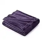 Bedsure Fleece Blanket Sofa Throw - Versatile Blanket Fluffy Soft Throw for Bed and Couch Twin/Double, Purple, 150x200cm