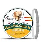 Collare Antipulci per Cani, Collare Antipulci Naturale per la Sicurezza dei Cani - Collare Anti Zecche regolabile, Collare Antipulci per Cani Waterproof - 8 Mesi di Protezione, Taglia Unica per Tutti