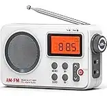 Tendak Radio Portatili FM/AM, Radiolina Portatile Piccola, Radio a Pile,Con un'eccellente qualità del suono, Schermo grande, sveglia, timer, radio a transistor alimentata via USB