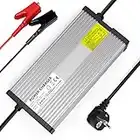 58.4V 15A Cargador de batería LiFePO4 para baterías Recargables de Ciclo Profundo de fosfato de Hierro y Litio de 48V