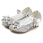 NNJXD Mädchen Prinzessin Funkelnd Schuhe Cosplay Party Tanzen Niedrig Hochhackig Größe 34(20cm/7.87") Silber