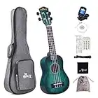 Winzz Kids Adults Ukulele Soprano Beginner Kit, 21 Inches Ukulele Set Blue-green with 8 Accessories, Unique Color Design