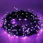 Epesl luci natalizie 25m 220 leds con 8 modalità end to end estensibile catene luminose esterni ed interni decorazione per giorno di natale alberi casa Halloween festa giardino - Viola