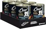 CESAR Premium Hundenassfutter in der Dose - NATURAL GOODNESS - Dose mit Huhn 6 x 400g