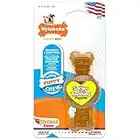 Nylabone Just for Puppies Petite Chicken Flavored Puppy Dog Ring Bone Teething Chew Toy