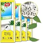 PIC Fly Window Sticker 4x4-16 fly stickers for windows, fly trap, fly traps indoor for home use - 6 months per trap