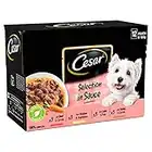 Cesar Adult Dog Wet Food in Pouch Selection in Sauce, 12x100g