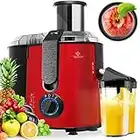 KESSER® Centrifuga Frutta e Verdura, 800W Estrattore di Succo a Freddo con 85MM Bocca Larga, Centrifuga in Acciaio Inox a Doppia Velocità con Funzione Antigoccia, Facile Pulizia