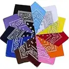 12 Pezzi Bandane per Cappelli, Bandana multifunzione, Sciarpa Fazzoletti da Taschino,Disegno Paisley, Bandana in 100% Cotone/Adatto a uomini e donne