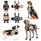 Gilet de Sauvetage Ajustable pour Chien - Gilet de Sauvetage Ripstop - Gilet de sécurité avec Haute flottabilité et poignée de Sauvetage Durable - pour Petits, Moyens et Grands Chiens