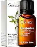 Gya Labs Eucalyptus Oils for Diffuser, Skin, Humidifier & Hair (0.34 fl oz)