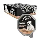 Cesar Junior Nourriture pour Chien Chiot Puppy avec Dinde Tendre et Veau 150 g - 14 bacs