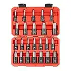 TEKTON 1/2 Inch Drive Hex Impact Bit Socket Set, 24-Piece (1/4-3/4 in., 6-19 mm) | SIB92311