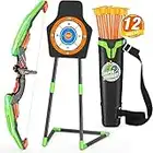 HYES Bow and Arrow for Kids, LED Light Up Archery Set with 12 Suction Cup Arrows, 1 Standing Target, 1 Quiver, Indoor Outdoor Sport Gifts for Boys Girls Ages 4-12, Green