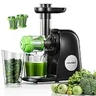 Juicer Machines, HOUSNAT Slow Masticating Juicers Whole Fruit and Vegetable, Professional Cold Press Juicer Extractor with Quiet Motor and Reverse Function Easy to Clean, Brush & Recipes Included