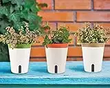 LATERN 3Pcs Self Watering Planter Pot, 14.5CM Round Plastic Plant Pot Garden Flower Bonsai Pots for Aloe Herb Orchid Succulent Plants - with Water Level Window and Drainage Hole Hidden Tray