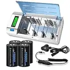 CITYORK Universal LCD Display Battery Charger with Discharge Function For AA, AAA, C, D, 9V Ni-MH Ni-CD Rechargeable Batteries with 4 x Ni-MH D Size 10000mAh Battery and UK Standard Charging Cable