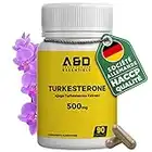 Turkesterone 500mg Hautement dosé pour un développement musculaire maximal | 90 capsules | 10% standardisé | Végétalien & Sans Gluten | Naturel anabolisant pour le développement musculaire