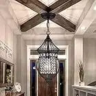 Black Mini Cage Chandelier Modern Pendant Lighting Adjustable Ceiling Crystal 1-Light for Bedroom Kitchen Island