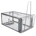 Gingbau Humane Rat Trap Live Mouse Cage Trap for Indoors and Outdoors