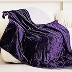 Alomidds Weighted Blanket (60"x80",20lbs Queen Size Purple), Sherpa Weighted Blankets for Adults and Kids, Fluff Soft Heavy Blanket with Glass Beads