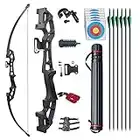 D&Q Archery Set Adult Bow and Arrow Set Adult Takedown Recurve Bow Hunting Bow Target Practice Competition Survival Longbow Right Hand 50" 30lbs, 40lbs with 6pcs Mixed Carbon Arrow(Black,30lb)