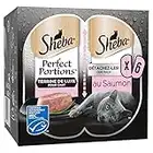 Sheba Perfect Portions pour chat adulte – Nourriture humide pour chats - Barquettes terrine de luxe pour chat au saumon (MSC) – Barquettes fraîcheur 48 x 37,5g