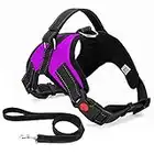 Musonic No Pull Dog Harness Breathable Adjustable Comfort Free Leash Included for Small Medium Large Dog Best for Training Walking S Purple