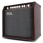 Rocktile AA-30 BN Eric Akustikverstärker - 30 Watt - 2 Kanäle (Mikrofon und Gitarre) - 10" Speaker + 2,5" Hochtöner - AUX-Eingang und Line Out - Chorus- und Hall-Effekt - Braun