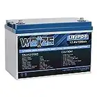 WEIZE 12V 100Ah LiFePO4 Lithium Battery, Up to 8000 Cycles, Built-in Smart BMS, Perfect for RV, Solar, Marine, Overland/Van, and Off Grid Applications
