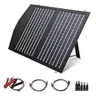 ALLPOWERS 60W Monocristalino Cargador Panel Solar Batería Placa Plegable con 5V USB 18V DC y 9 Paneles Solares para Phone los teléfonos móviles de HTC del Lenovo HP DELL Acer Portátiles