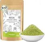 Matcha BIO Pulver 100 g I ohne Zusätze - 100% natürlich I premium Japan Matcha Tee I Grünteepulver von bioKontor