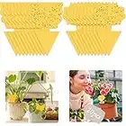 Buauty fly trap 20 Pcs, Yellow Fly Paper Stickers catcher fruit fly traps indoor Non-Toxic and Eco-Friendly fungus gnat killer for Multiple Insect