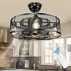 DLLT 20Inch Caged Ceiling Fan with Light, Farmhouse Ceiling Fan Lights with Remote, Industrial Ceiling Fans for Living Room, Bedroom, Kitchen, 3 Speeds Wind, Timer, 4xE26 Bulb Base, Black (No Bulb)