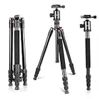 Neewer monopiede treppiede da viaggio in lega di alluminio 162 cm fotocamera con testa a sfera 360 gradi 1/10,2 cm piastra a innesto rapido e borsa per fotocamera DSLR video camcorder carica 12kg