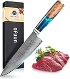 oFuun Cuchillo Cocina Damasco, 20cm Cuchillo Chef Japones de Acero Damasco de 67 Capas, Mango de Resina Azul, Cuchillo de Cocinero Profesional para Cortar Verdura, Fruta, Carne y Pescado