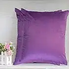 JUEYINGBAILI Throw Pillow Covers Velvet Decorative 2 Packs Ultra-Soft Purple Pillowcase 18 x 18 Inch for Couch,Chair,Sofa,Bedroom,Car,Square Solid Color