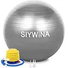 SIYWINA Ballon Fitness Ballon de Grossesse Yoga Ballon d'exercice Pilates Swiss Ball pour Entraînement Grossesse Equilibre Chair 55cm 65cm