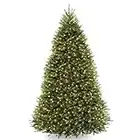 National Tree Company Pre-Lit Artificial Full Christmas Tree, Green, Dunhill Fir, White Lights, Includes Stand, 9 Feet