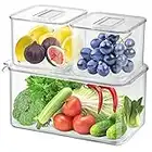 Hossejoy Set of 3 Fridge Organizer Stackable Refrigerator Organizer Bins with Vented Lids, Food Storage Containers with Removable Drain Tray，Kitchen Refrigerator Freezer Organizer Keeper