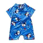 Baby Boys Swimming Suits Boys Rash Guard Beach Bathing Cartoon Animal Patterns Short Sleeve One Piece Zipper Beachwear (as8, Age, 0_Month, 6_Months, Blue)