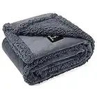Waterproof Pet Blanket, Liquid Pee Proof Dog Blanket for Sofa Bed Couch, Reversible Sherpa Fleece Furniture Protector Cover for Small Medium Large Dogs Cats, Dark Gray Small（40" x 28"）