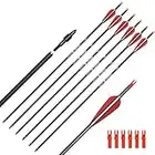 ELONG OUTDOOR 6PCS Flechas de 28 Pulgadas para Arcos compuestos, Flechas de Caza de Carbono para Tiro con Arco Recurve Bows Spine 500 con 100 Puntas de Tornillo de Grano