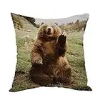 Moslion Bear Pillow,Home Decor Throw Pillow Cover Hi Bear Sit on the lawn Cotton Linen Cushion for Couch/Sofa/Bedroom/Livingroom/Kitchen/Car 18 x 18 inch Square Pillow case