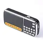 Leting Portable Mini USB FM Radio Speaker Music Player Micro SD/TF Card for PC iPod Phone (Black)