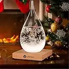 Storm Glass Weather Forecaster, Water Drop Shaped Glass Weather Predictor Barometer Weather Station, Decorative Bottles for Home Office Living Room, Christmas Family Friend Gifts for Her(Large)