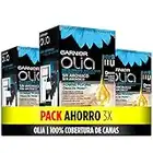 Garnier Olia Decolorante extremo D+++ - Pack de 3 decolorante permanente sin amoniaco con aceites florales de origen natural