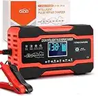 COLOR TREE Battery Charger 10-Amp 12V and 24V Fully-Automatic Smart Car Battery Charger, Battery Maintainer, Trickle Charger, and Battery Desulfator with Temperature Compensation, Intelligent Memory