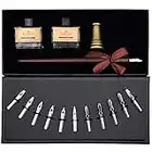 AIVN Calligraphy Set - 17 Pieces. Includes Calligraphy Pens, 2 Bottle Inks, 12 Nibs, Pen Holder and Introduction Booklet for Beginners